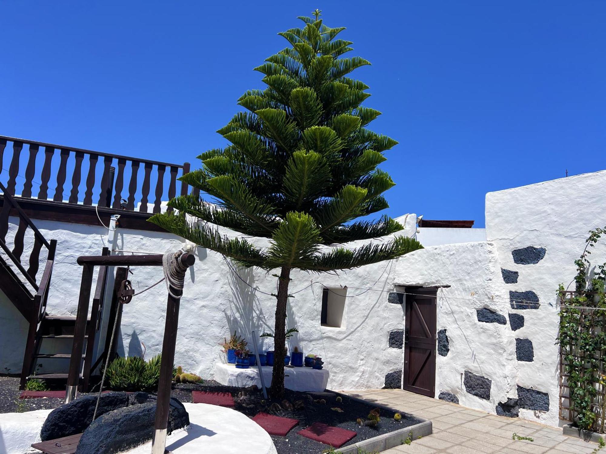 Casa Rural Estilo Canario Vila San Bartolomé Exterior foto